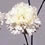 Carnation - White