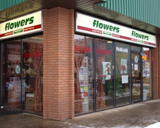 Edmonton flowers